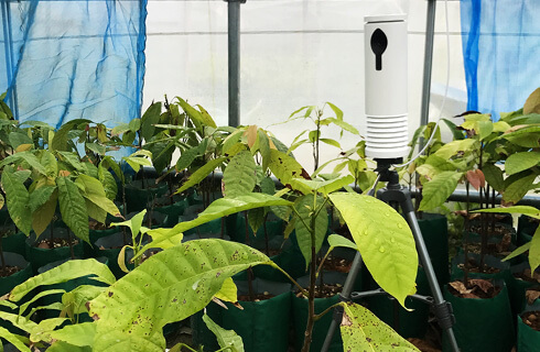 KAKAXI uses IoT technology to assist farmers in remote crop monitoring